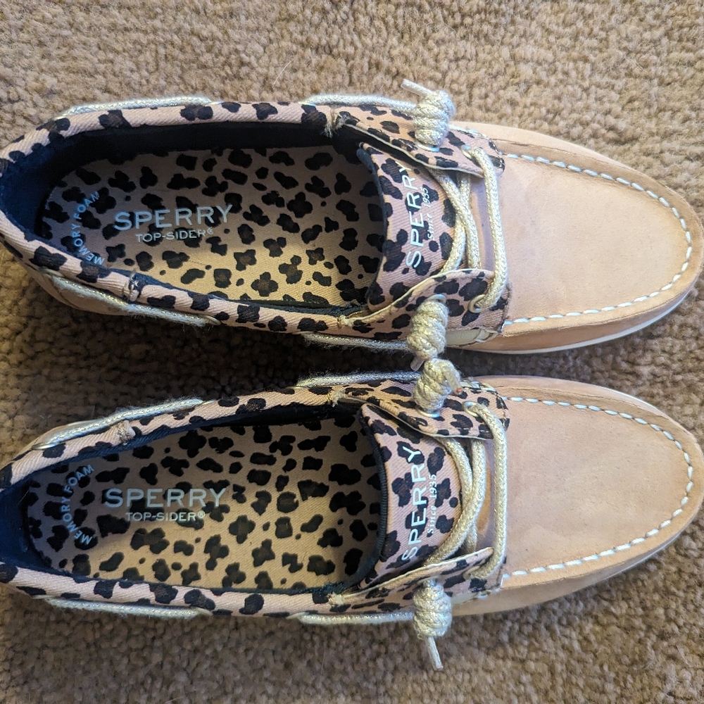 Sperry Coastfish